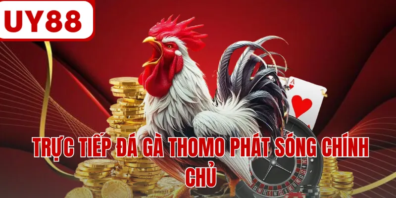 Trực tiếp đá gà Thomo phát sóng chính chủ Trực tiếp đá gà Thomo phát sóng chính chủ
